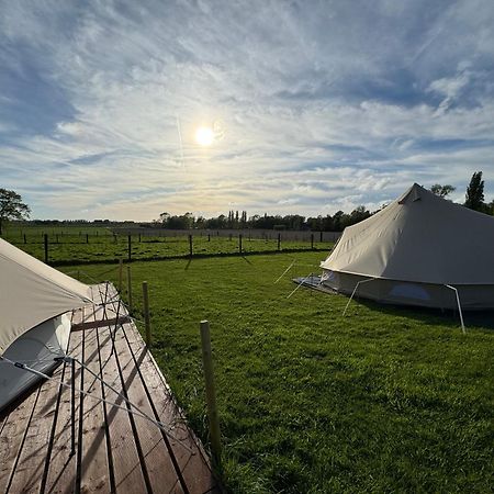 Camp Mangoeste Zedelgem Exterior foto